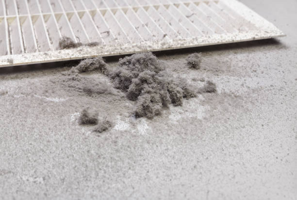 Best Air Duct Cleaning Near Me  in Atlantis, FL